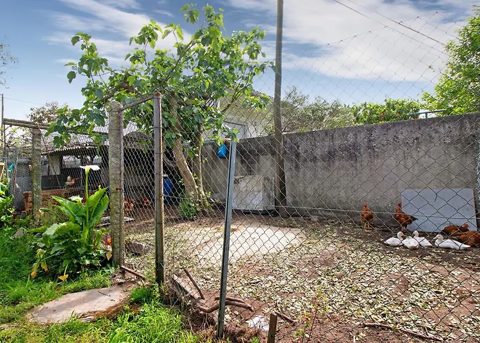 Cali Com Piscina Apartamento Apúlia